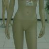JL38B WOMAN BALL HEAD OLFDYM57