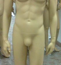 MALE MANNEQUINE BALD HEAD SKIN WITH WIG