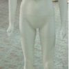 FEMAL W/O HEAD WHITE  H163,B78,SH43,W57,H86